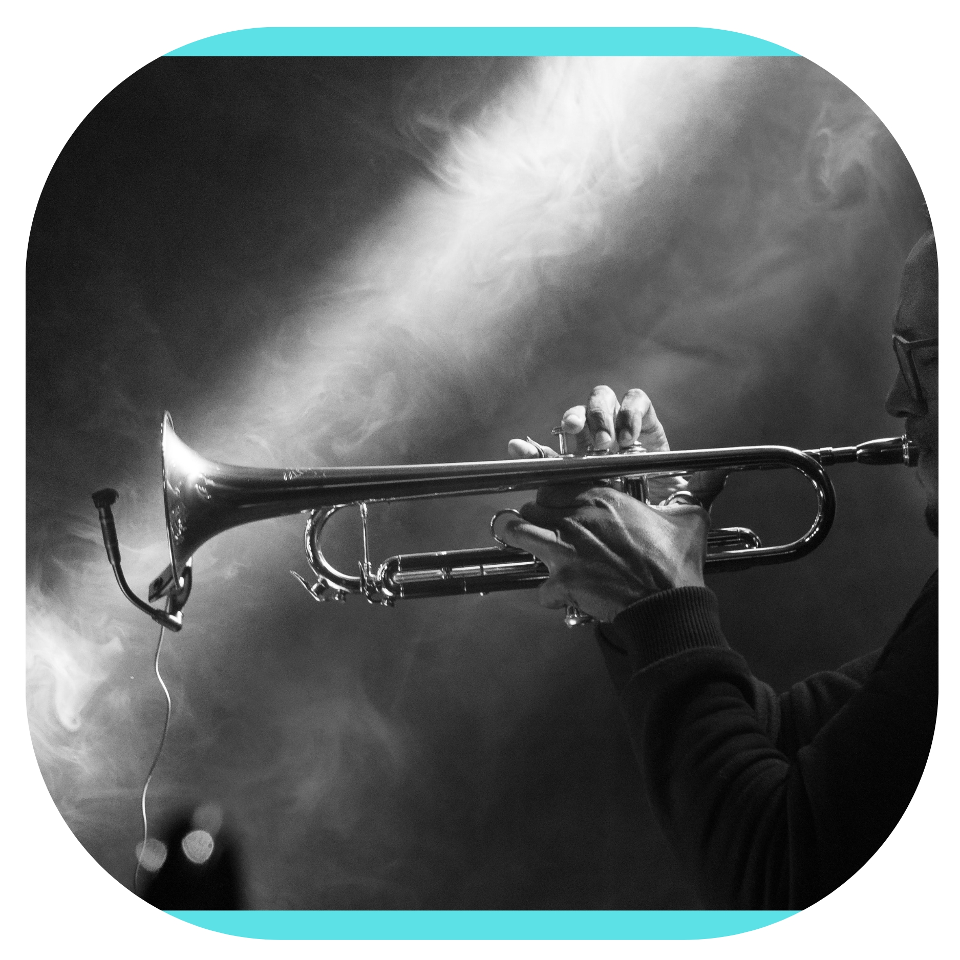 Assessment Category Graphic