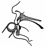 Flute Embouchure Diagram